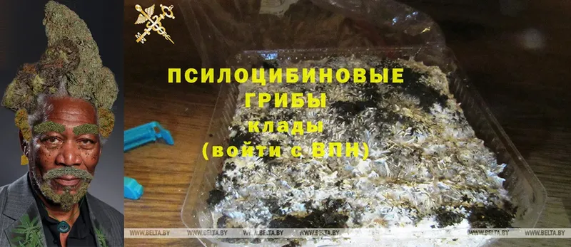 Галлюциногенные грибы MAGIC MUSHROOMS  Бирск 